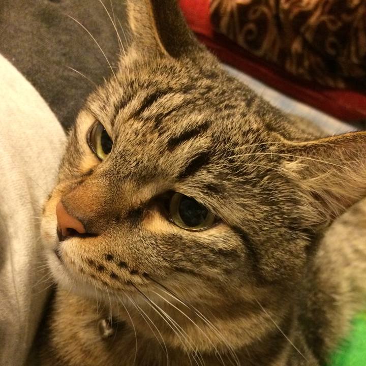 Eae9910d fc13 4255 ac01 89922f9ce57b