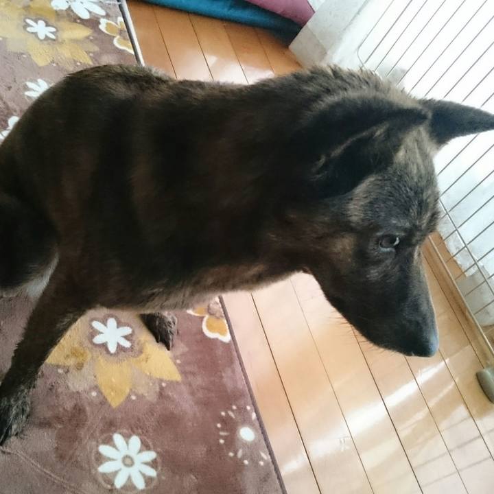 Eae9ea4c eca8 4118 816e 80b7e06f0213