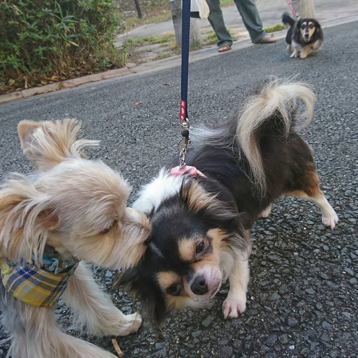 Eaea530a 59a8 4ac2 9ec8 f3ecf899fa1b