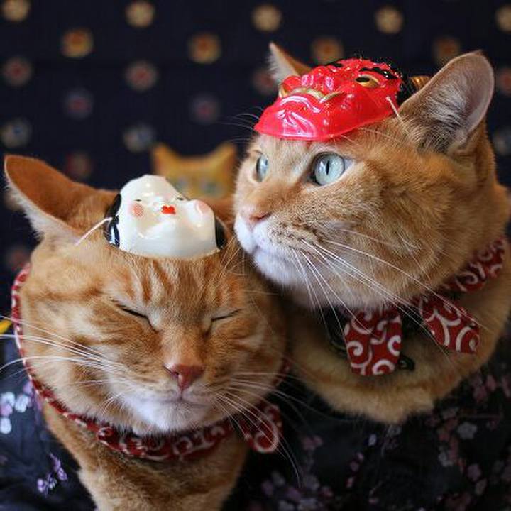 Eaeaa185 22a8 4064 b814 20dcffd9cd04