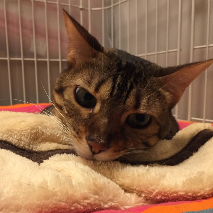 Eaeaa9d7 d98f 452b 9da1 091ea4d85fe2