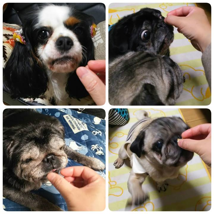 Eaeb51ea 139b 473f bcd2 85ea6f1db44e