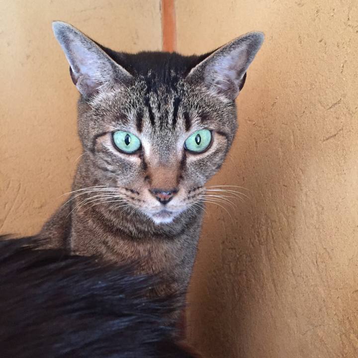 Eaeb5342 c14f 4758 8c6a 78df3fd66362