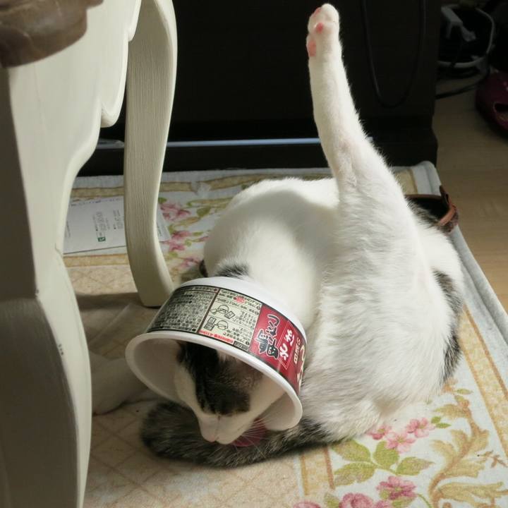 Eaeb88d2 7a89 414a 9933 b2c004f84cc4