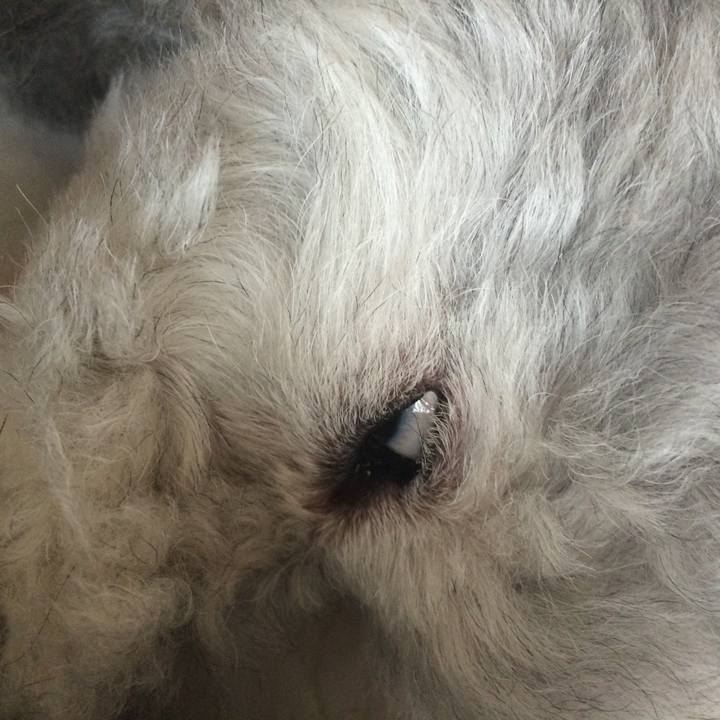 Eaec5fd9 8245 4948 8e97 67fa804e90eb