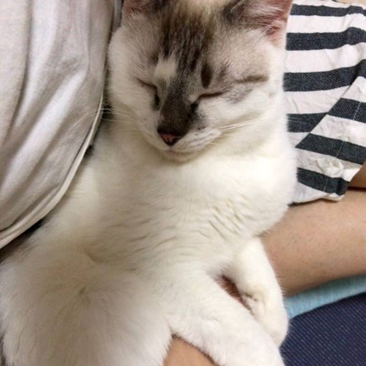 Eaec6cfd 1a04 49eb 9e2b d2bf3844fe9b