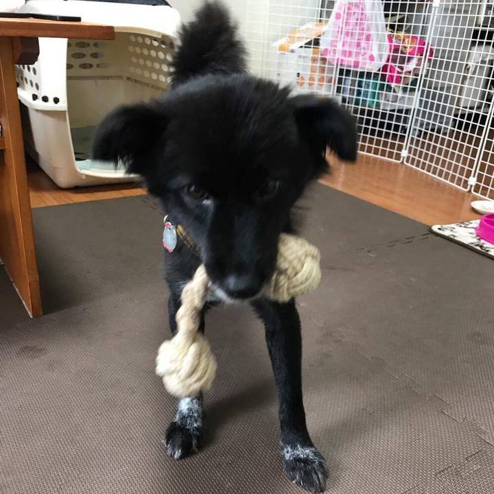 Eaecf8ec a791 4ce4 afd1 887b1245befd