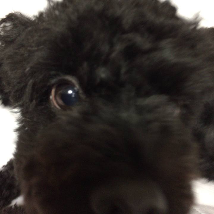 Eaed57b0 8632 4b2a bdb5 35466a8de4c6