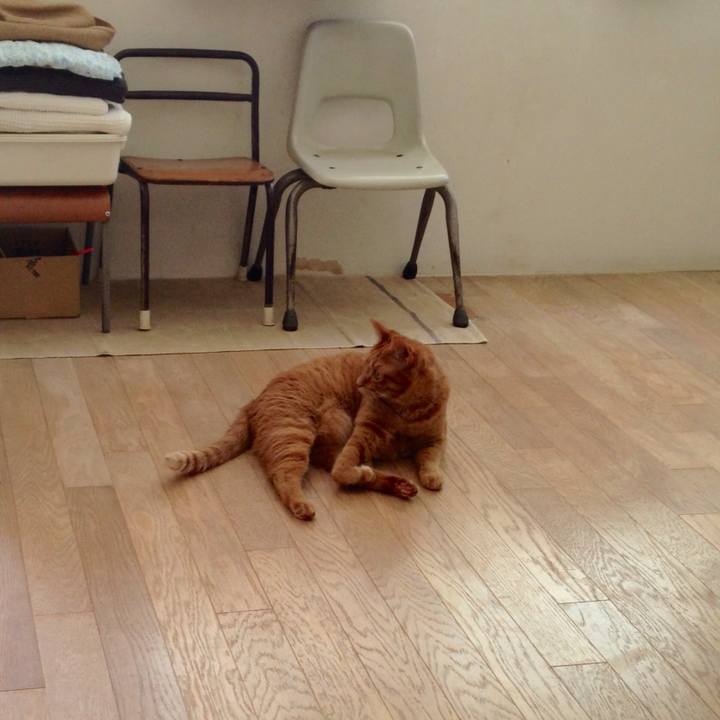 Eaee1255 d666 4e6c b274 43f9b3d3aa91