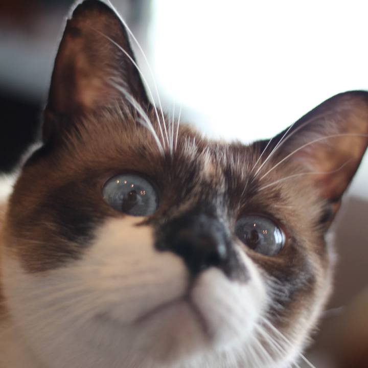 Eaee9562 64b6 4b02 836b 88f36a2cc056