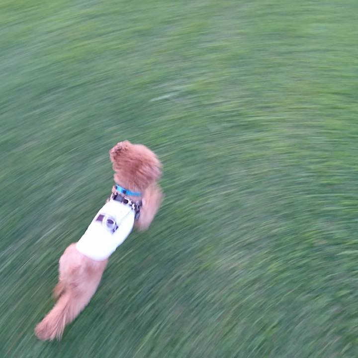 Eaeeb2c8 72af 4ccf 9744 a4048303f52d