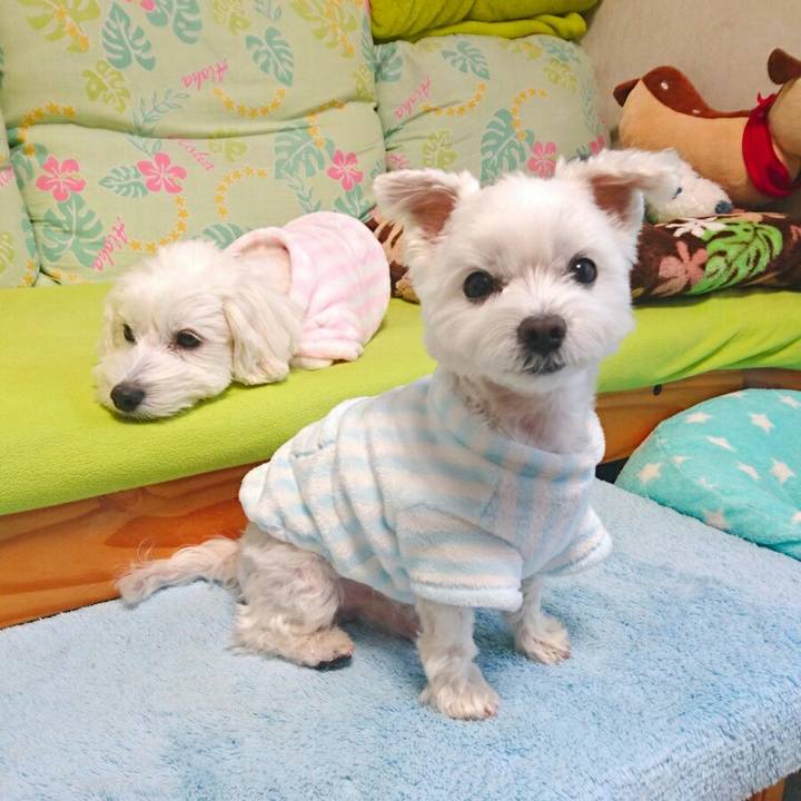 Eaf08501 0830 47c4 a21a bf32cbffd643