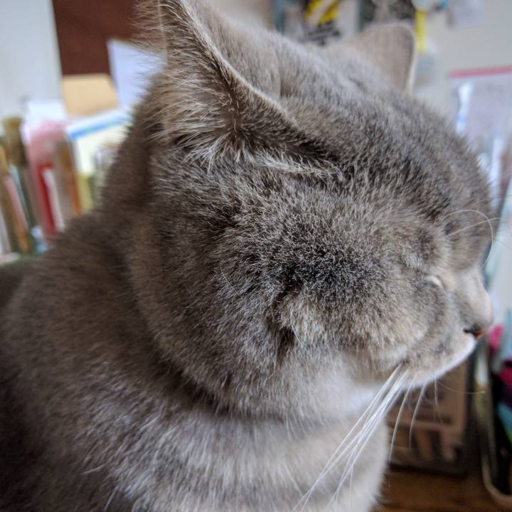 Eaf0f49d 88d2 4b21 9aef a3ed56ec58b9