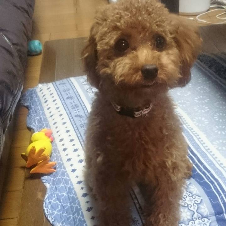 Eaf11734 5da3 4441 869c 6882ea9ae924