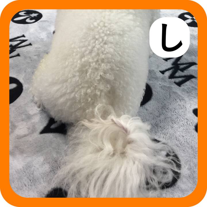 Eaf31e63 f9fc 413f ae06 815bdffee2d0