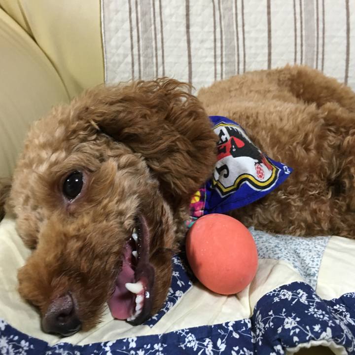 Eaf432b1 651a 4dbe 96cc d704489a022e