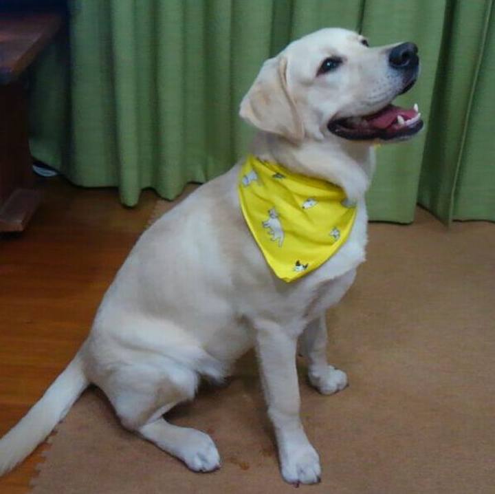 Eaf4345d 675b 48e5 9732 e7706fc8c2a8