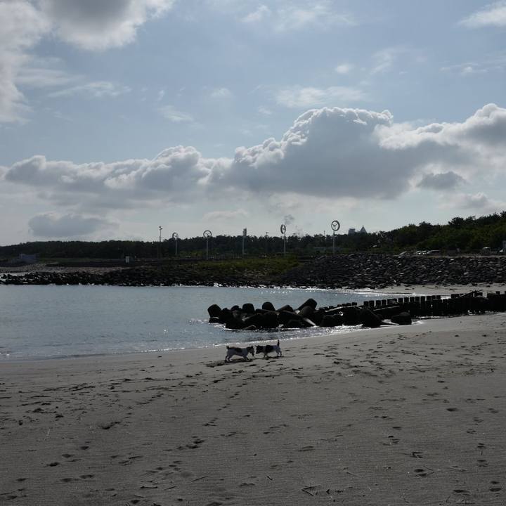 Eaf43dd4 7e83 457e bf1b 64bb35bf97c5