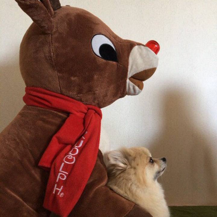 Eaf446e1 d4b6 45e5 ad1b a9ca925f14ad