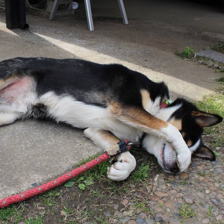 Eaf4adc9 3868 4f3f b836 4804cec3e8c0