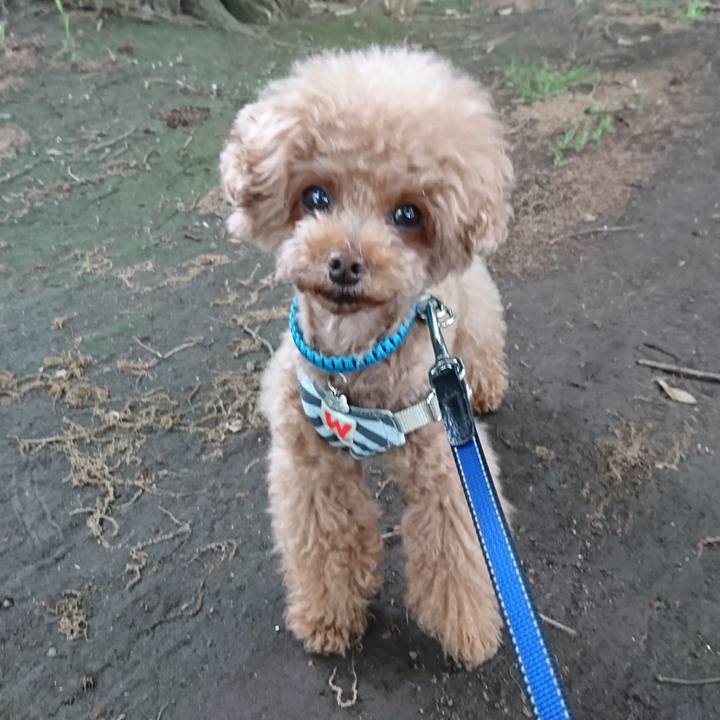 Eaf5e857 a738 4260 a08c 4c3743549c89