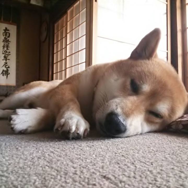 Eaf65473 3c8c 471a 91f7 25646baed052