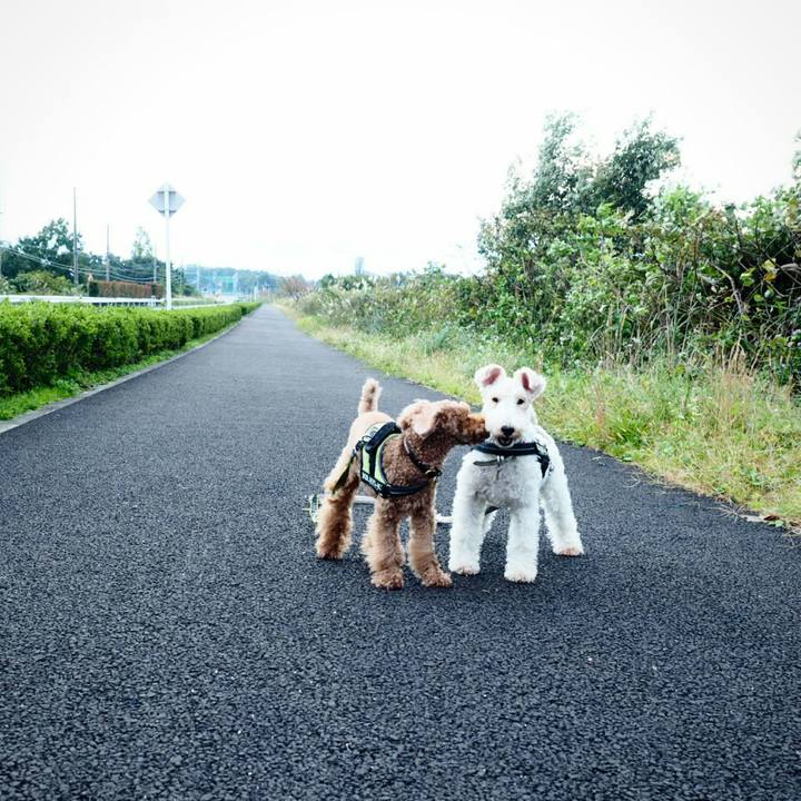 Eaf68105 efeb 44b9 88cc a3e29ff1760e