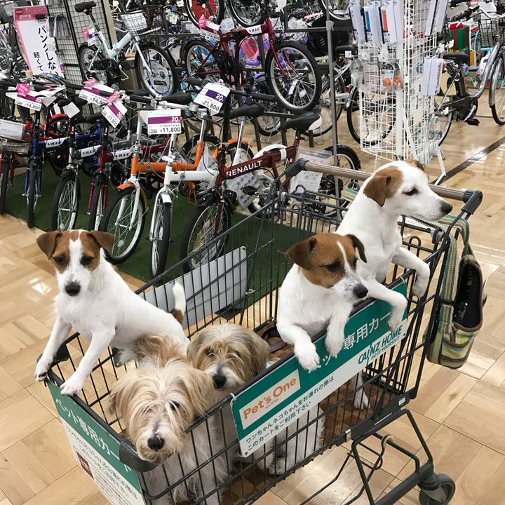 Eaf70b5a d169 4ab6 9117 229d3819548c