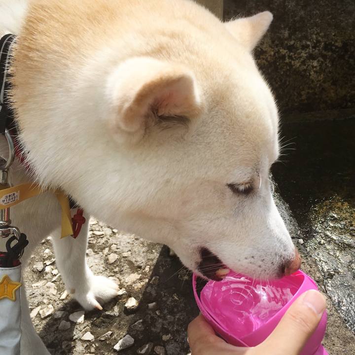 Eaf711fd 76c2 473f ae80 5fbed5cc8449