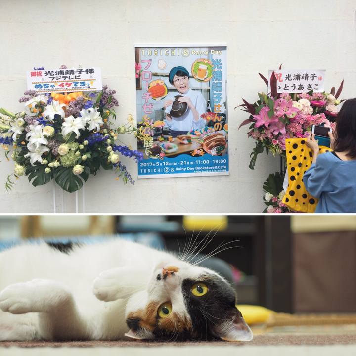 Eaf71d3c ea42 46d7 b0b8 b5c94aacd31c