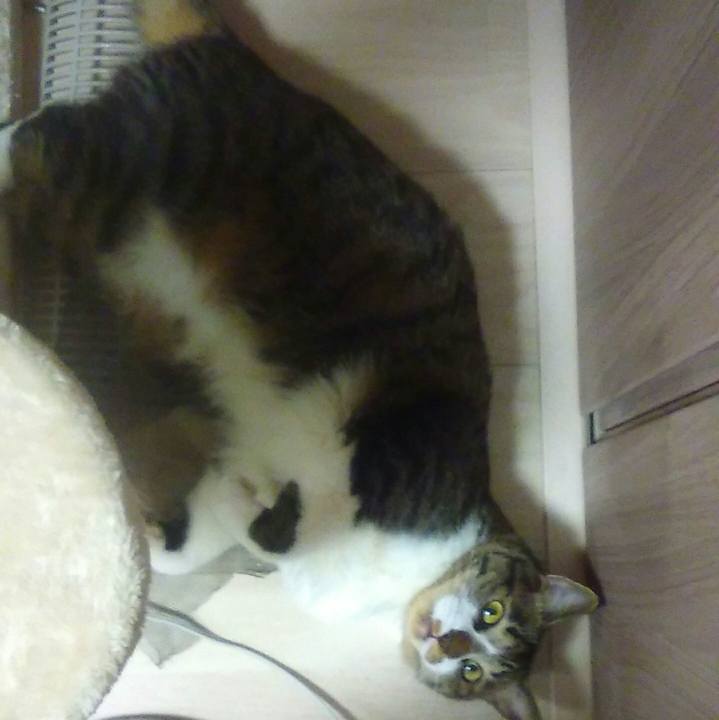 Eaf74beb 94b4 47dd a372 1d786c2234ee