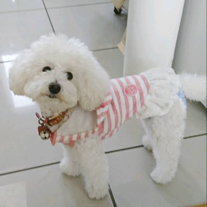 Eaf74dcf 2021 4e62 87f0 c5777e7e8fe4