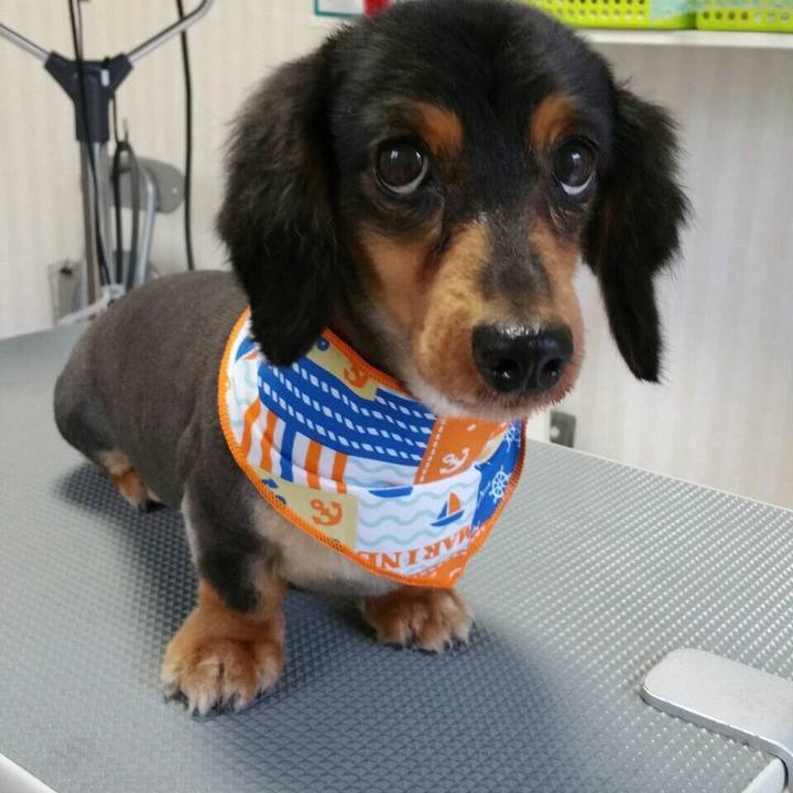 Eaf7fe6d 9d1e 429a abac 91d3a65e0255