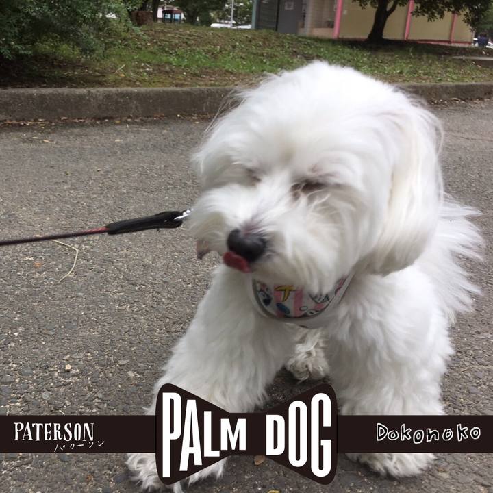 Eaf831eb b1f1 4a36 a507 eff8a1c3208d