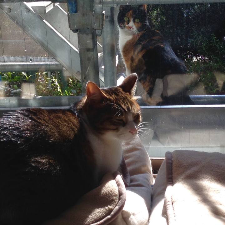 Eaf8449b c39a 48fa b957 e543f1a1f6d4