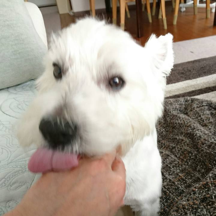 Eaf8804f 0341 4fe3 9d82 dd47c8cd1fdb