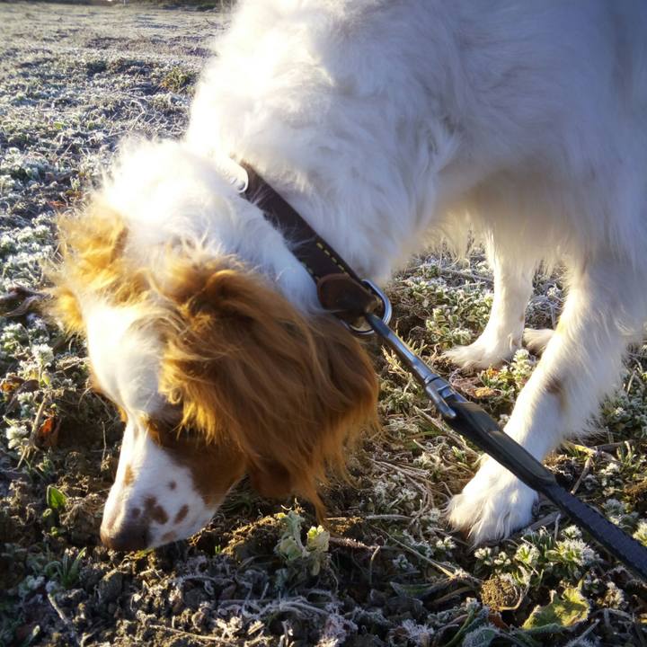 Eaf89eda 5674 4c84 b2bd 5b0cd2009287