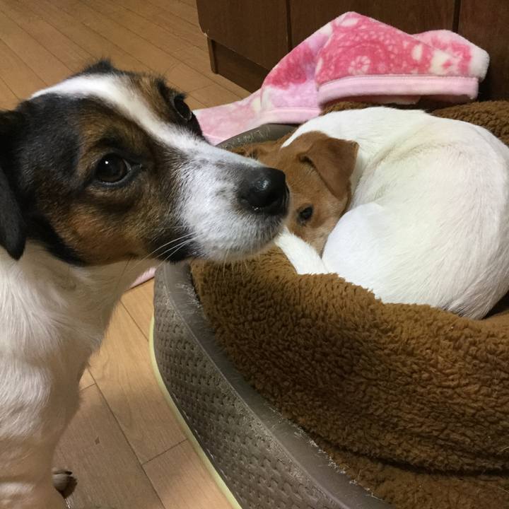 Eaf8bafb ab6e 49e7 ba97 0d88a011aa10