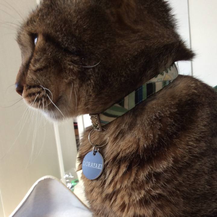 Eaf8bd15 39b3 4184 bc63 3f2b9d578ff6