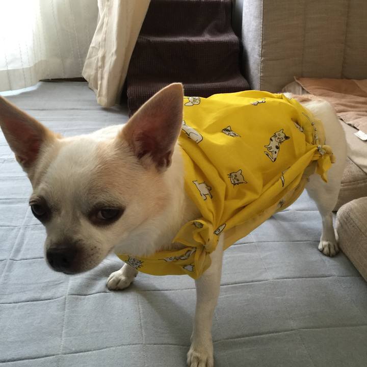 Eaf8c8f8 927b 487f 93bd b0690cedb294