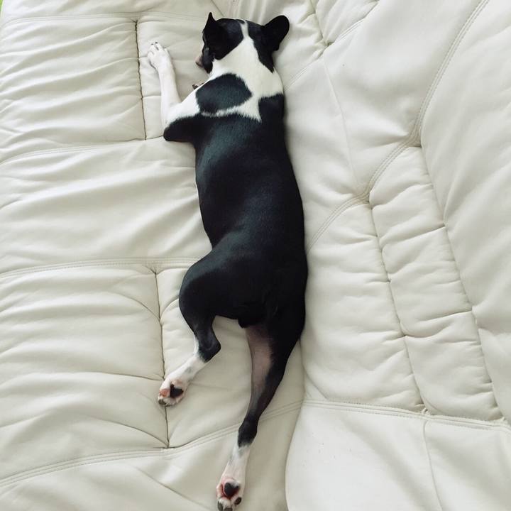 Eaf95d55 4a1e 459c a551 94feb0ec090d