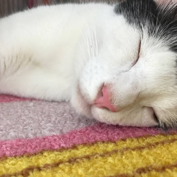 Eafa0fef 703e 450e 9589 56210d6bbe05