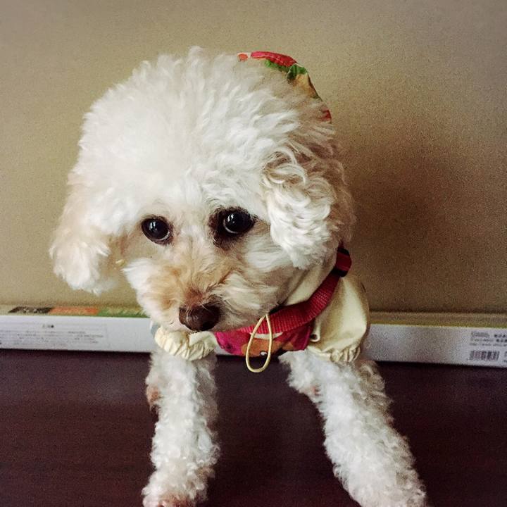 Eafa893c 3b2c 4e91 80a5 f3f9bcc9960e