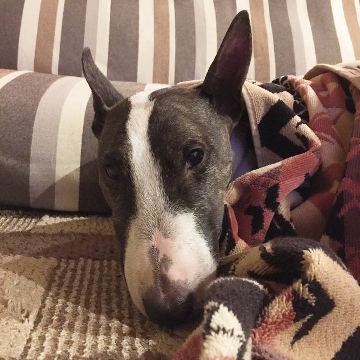 Eafabd40 b32e 481b a7cf 8205a08c13dd