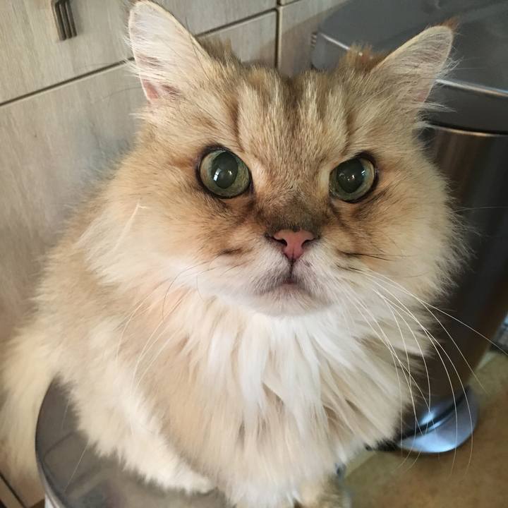 Eafac434 d840 4639 bec7 8af1b35d62d5