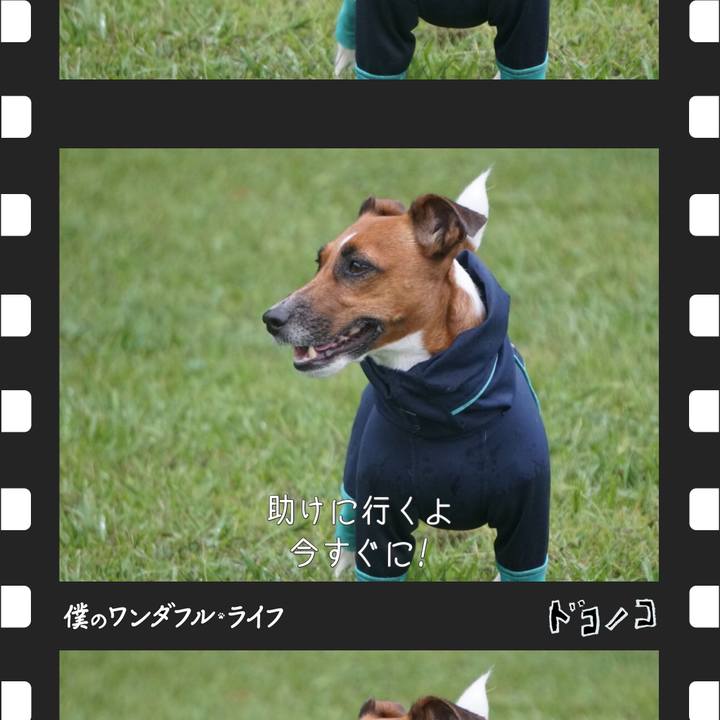 Eafd26e1 6776 42b5 afb7 6488179a6161