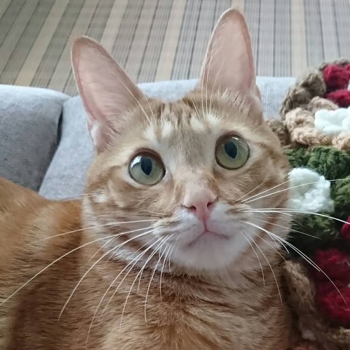 Eafd3de6 275c 4836 ba78 6079d6234d74