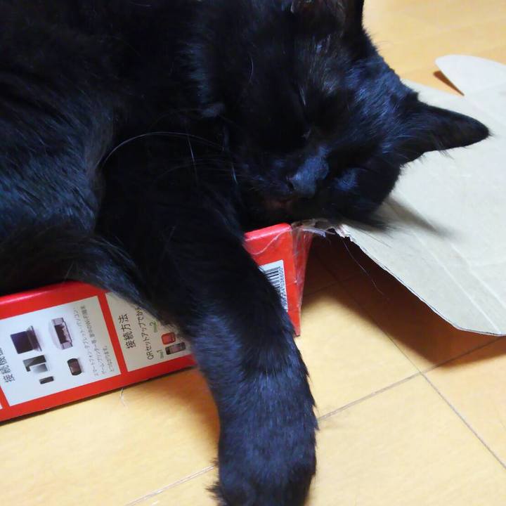 Eafdc950 dcf1 4760 a0ad 9f4517903743