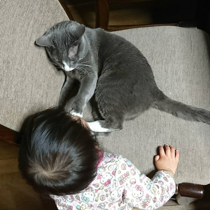 Eafe0f4d 08ea 4c19 91c3 20e52de16e1f