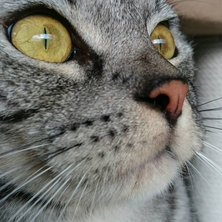 Eafe6623 41c3 4a7f 8847 bb342f611537